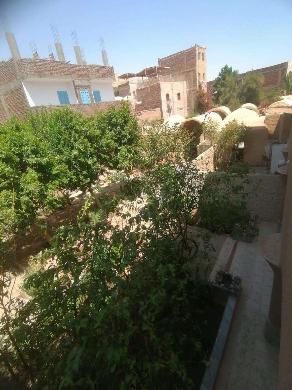 Rose Guest House Luxor Exterior foto