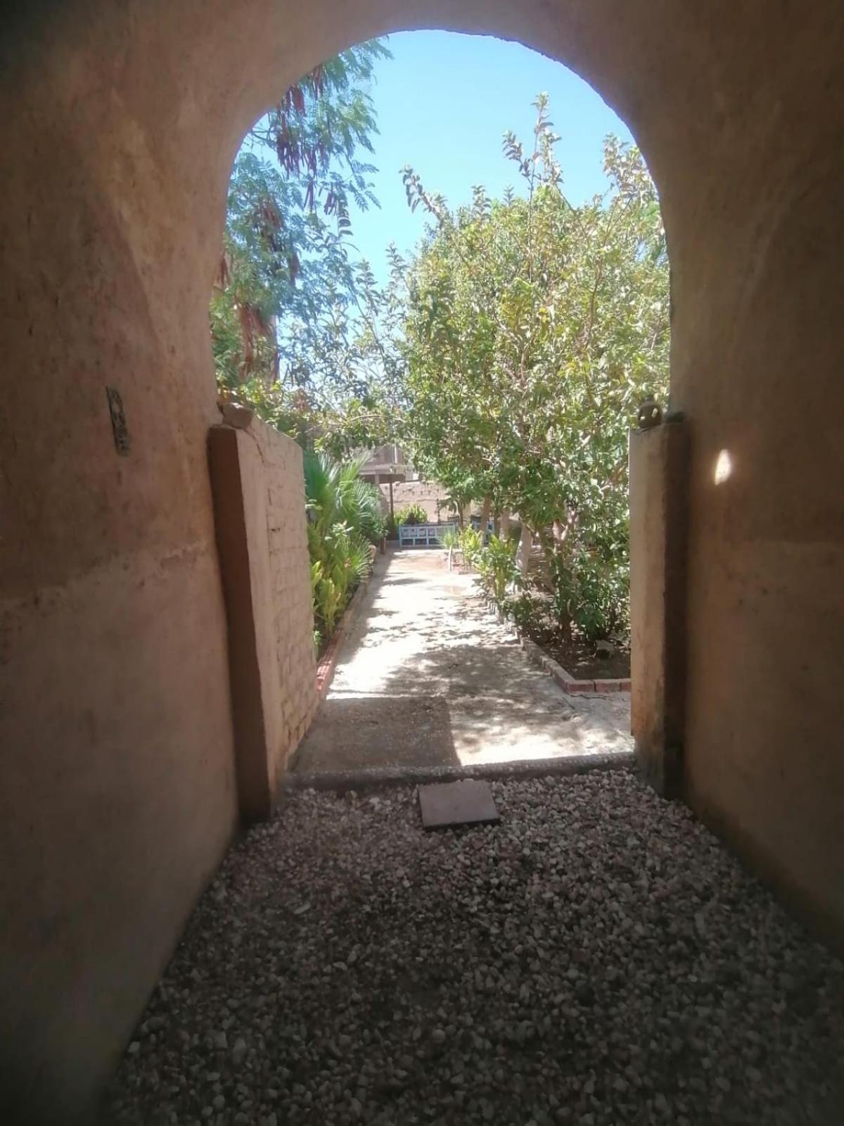 Rose Guest House Luxor Exterior foto