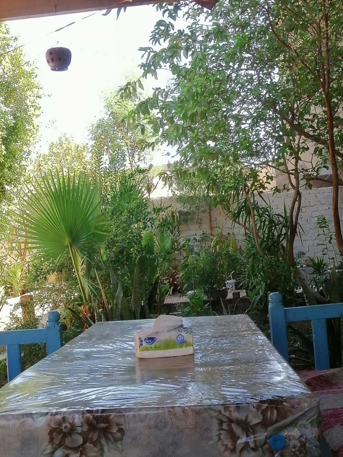 Rose Guest House Luxor Exterior foto