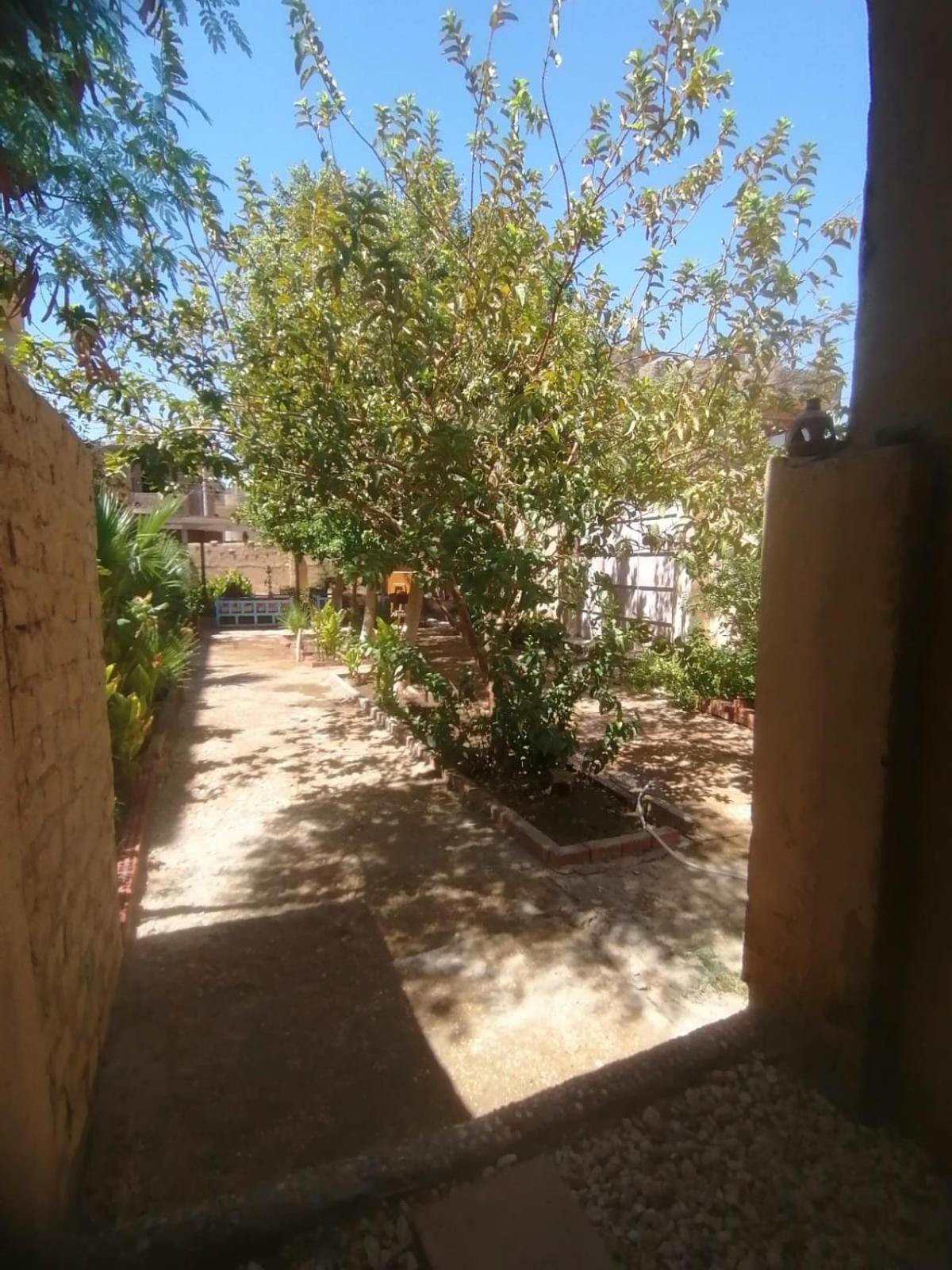 Rose Guest House Luxor Exterior foto