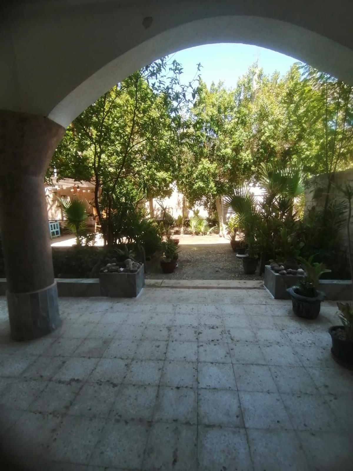 Rose Guest House Luxor Exterior foto