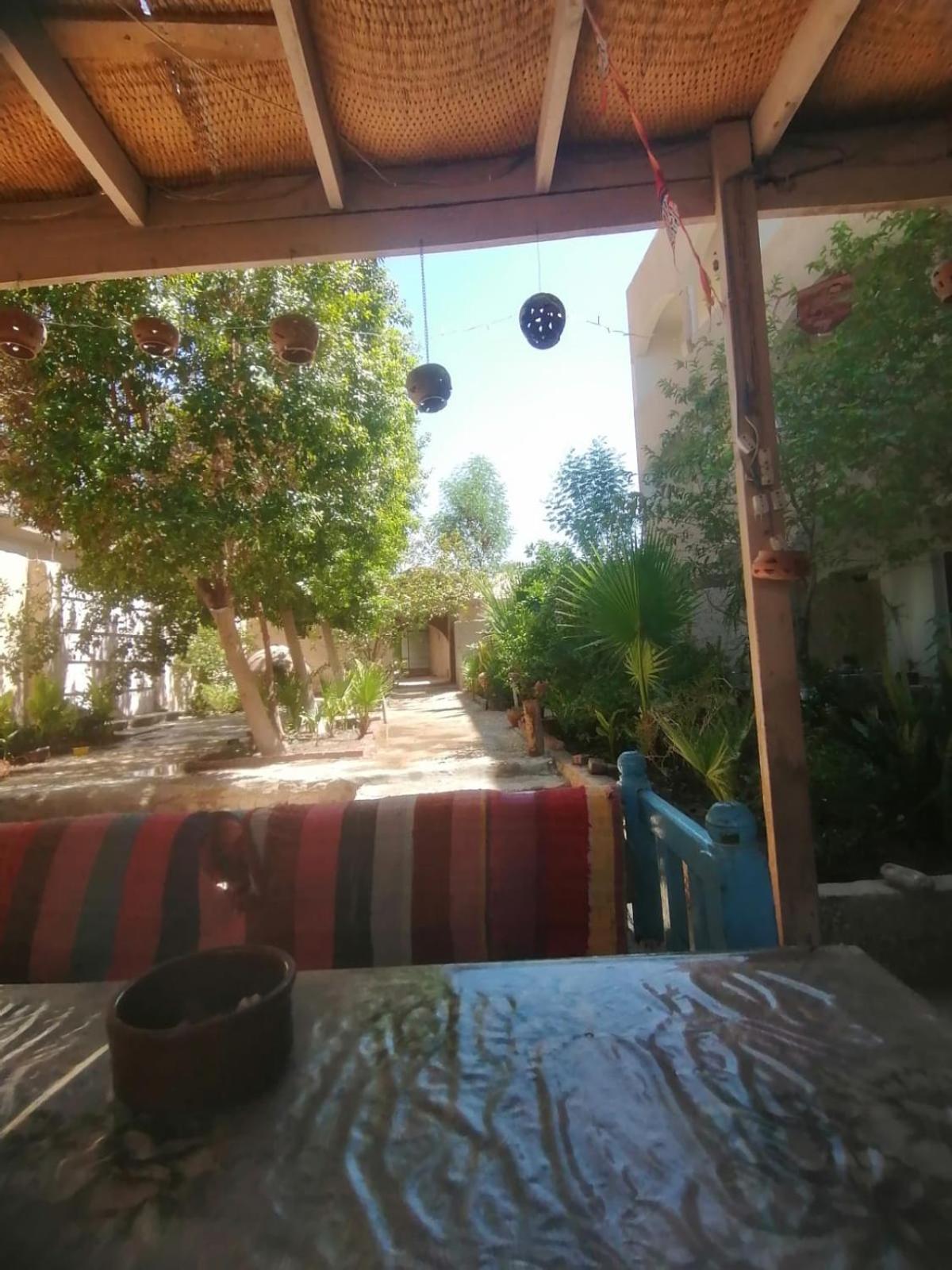 Rose Guest House Luxor Exterior foto