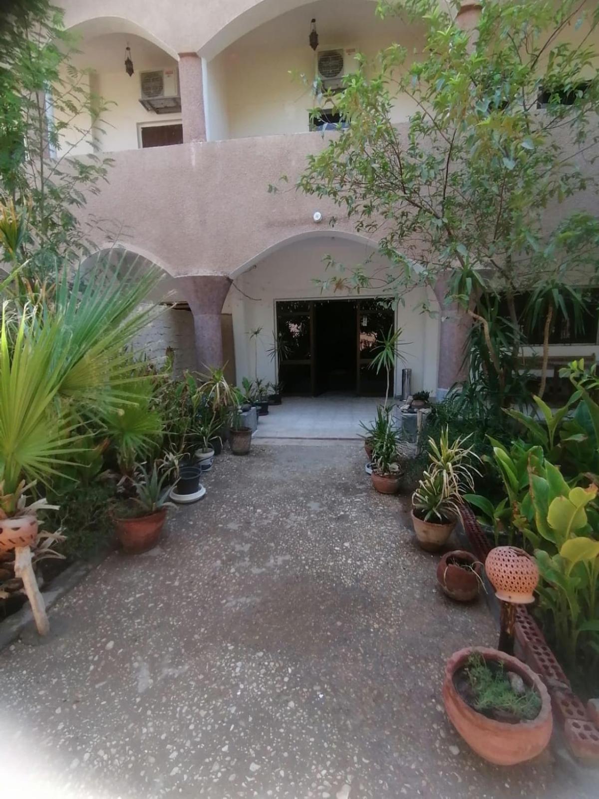 Rose Guest House Luxor Exterior foto