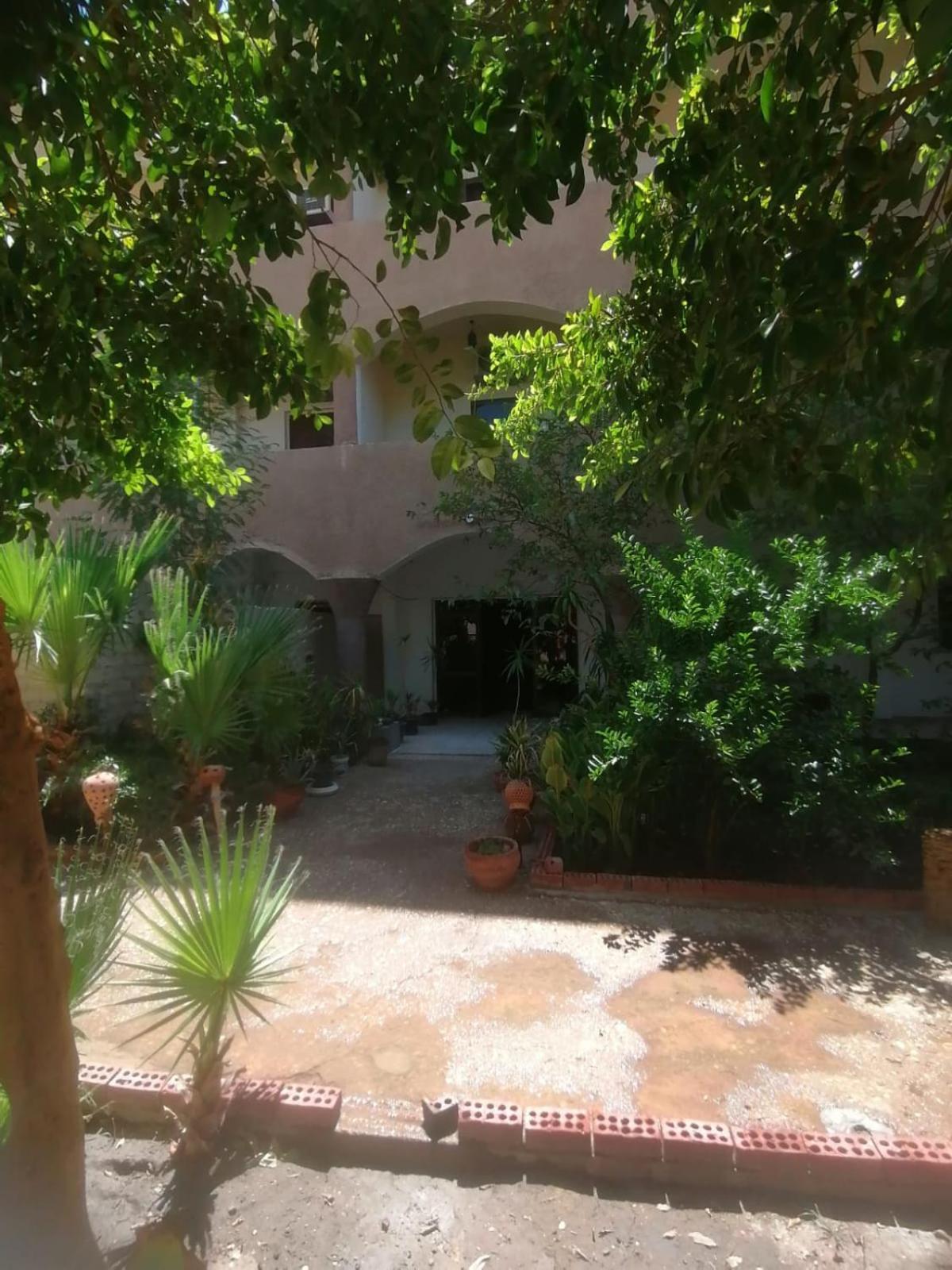 Rose Guest House Luxor Exterior foto